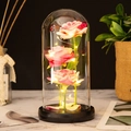 Preserved pink roses in glass dome with LED fairy lights and black base - Black Base Pink Flower + Petals
