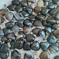 Bulk 15mm black agate heart charms with silver metal clasps for DIY jewelry making - Black Agate