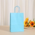 Light blue kraft paper gift bag with matching handles on a clean aesthetic background - Light Blue