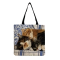 Stile Tre Gatti che Dormono (hm2869)