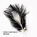 Elegant black and cream feather cake topper with pearls and bow, 18.5cm length - Ostrich Pearl Feather Decor