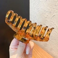 15# Dragon Bone Amber High Gloss