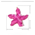 Detailed parameter view of pink enamel starfish pendant with size and weight specs - Pink Starfish (60x59mm)