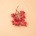 Red frosted artificial berries with white sugar-like texture for Christmas DIY decor - 1cm Crystalline Red Berry String