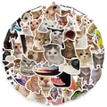 Vue détaillée de divers autocollants de chats mèmes étanches pour ordinateurs et valises - 50 feuilles/paquet