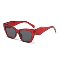 Vintage oversized square cat-eye sunglasses with red translucent frame and gray lenses - Transparent Red Frame Grey Lens