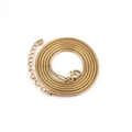 Detail of gold snake bone chain showing lobster clasp and extension link texture - 1.2mm*40CM+5CM (Round Snake Chain) / Gold