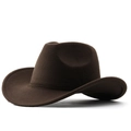 Side view detail of a dark brown wide-brim cowboy hat featuring wool felt texture - Coffee