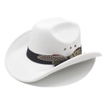 Classic white western cowboy hat with feathers and golden vintage totem trim on wide brim - White