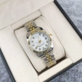 Classic two-tone steel watch with mother-of-pearl dial and diamond markers in box - Gold-Silver White