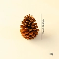 Natural dried brown pine cone decor for Christmas with 7-9cm height and 40g weight - Large Pine Cone 8-10cm 1Pc