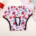 Dog sanitary panties with cute summer watermelon and dragon fruit print patterns - Summer Fruit