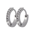 Orecchini a cerchio in acciaio al titanio argento con piccoli zirconi bianchi incastonati - Stile Semincircolare Argento con Strass (XYE0016)