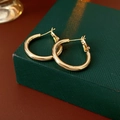 Close-up of polished gold hoop earrings placed on a premium dark green jewelry box edge - 25mm / Gold
