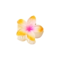 Sweet 4cm candy color plumeria hair claw clip with pink and yellow gradient resin flower - 4cm / Gradient Orange