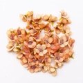 Bulk pack of mini 2cm orange silk daisy heads for DIY wreaths and wedding decor - Orange