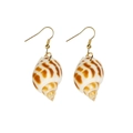 Exquisite natural conch shell earrings with golden hooks on a clean white background - KC Gold Natural Shell Earrings (0003)