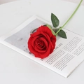 Realistic red velvet artificial rose with green leaves on a white background - Large Velvet Red