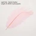 Five pieces of 25-30cm light pink ostrich feathers for DIY floral arrangements and decor - Light Pink (25-30cm)