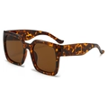Retro oversized square sunglasses with tortoise shell frame and dark brown lenses - Tortoiseshell Frame Tea Lens