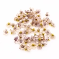 Light purple and beige artificial silk daisy flower heads for DIY wedding crafts - Champagne