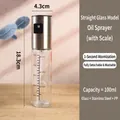 Straight glass oil sprayer with 90ml scale, stainless steel nozzle for misting - 100ml / Stainless Steel with Scale