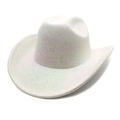 White iridescent western cowboy hat with a shimmering finish and structured design - Stripe White