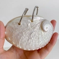 Taccuino in conchiglia naturale di abalone con anelli metallici e riflessi perlati - Blocco Note in Abulone Bianco Piccolo / Circa 6-9 cm