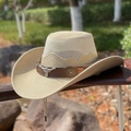 Beige woven straw cowboy hat with metallic bull head emblem and breathable mesh top - M (56-58cm) / Khaki