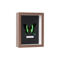 Brown wooden shadow box frame featuring a real green and black butterfly specimen - 14x14 inch / 5cm Hollow / Walnut