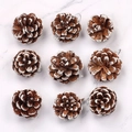 Set di 9 pigne naturali con punte bianche innevate per decorazioni natalizie - Pigne con Bordi Bianchi 3-4cm (9 pezzi/confezione)