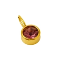Golden stainless steel birthstone charm with a purple zircon for DIY jewelry making - October (ZA2171G)