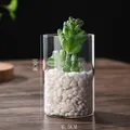 300ml cylindrical clear glass hydroponic plant pot with white pebbles, 10cm height - D6.5cm*H10cm (300ML)