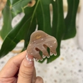 Elegant amber cloud-shaped acetate hair claw clip held against lush green tropical leaves - Transparent Brown