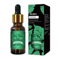 Aromatherapy tea tree plant essential oil in 10ml amber glass bottle with dropper and box - DC-29 Tea Tree / 10ml