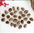 Natural dried pine cones 30pcs set for DIY Christmas decor and photography props - 1-2CM Pine Flower