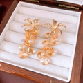 Close-up of golden leaf earrings with amber glass bead tassels in a jewelry box - Gold - Champagne