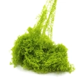 Vista dettagliata di ammassi di muschio finto verde brillante per decorazioni floreali - Muschio Artificiale Verde Chiaro
