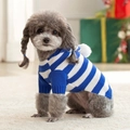 Detailed knit texture and pom-pom hood on a blue and white striped dog sweater - M / Blue Christmas Stripe Hooded