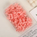 Preserved pink hydrangea flowers in a clear box for DIY crafts and floral arrangements - 5g / Deep Pink