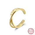 Detailed view of Mobius ring with hammered texture and 18K gold finish in 925 silver - Adjustable Open / Textured Ear Clip (GAR08) / 14K Gold