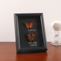 3D butterfly specimens in black shadow box frame with Common Tiger and Red sawfly - Black / 6 inch (13.1x18.2cm)