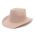 Light pink woven Panama straw hat with a wide brim and classic Fedora style crown design - Lotus Pink