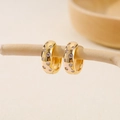 Macro detail of gold-plated hoop earrings with inlaid cubic zirconia on a wooden branch - EH411027