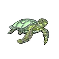 Groene emaille speld van een zeeschildpad met gedetailleerde schildtextuur en metalen rand - Zeeschildpad