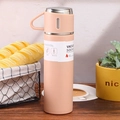 500ml Pink Cup