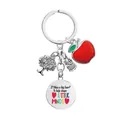 Portachiavi insegnante con gufo e mela e disco in metallo inciso ispiratore - CYPYS001 Portachiavi Argento