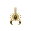 Detailed close-up of a golden scorpion pendant with embedded black stones on white background - Black Zirconia Scorpion