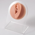 Flesh-toned silicone ear model for piercing display on a clear acrylic support stand - Brown-Left Ear