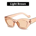 Occhiali da sole chic irregolari cat eye con montatura larga in colore tè chiaro - Tè Chiaro